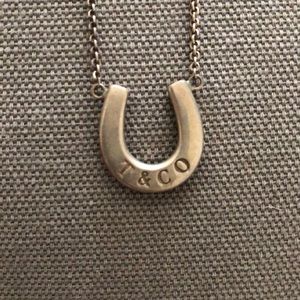 Authentic Tiffany & Co Horseshoe Necklace!
